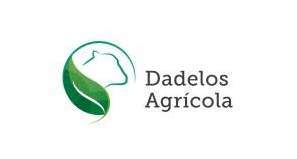 Dadelos agricola dadelos