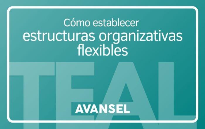 Cómo establecer estructuras organizativas flexibles y no jerárquicas