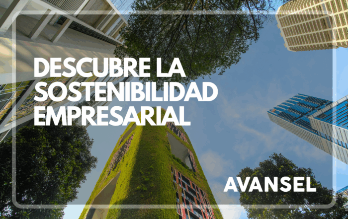 Descubre la sostenibilidad empresarial