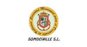 Sociedad Municipal para el desarrollo de Valleseco de Gran Canaria S.L