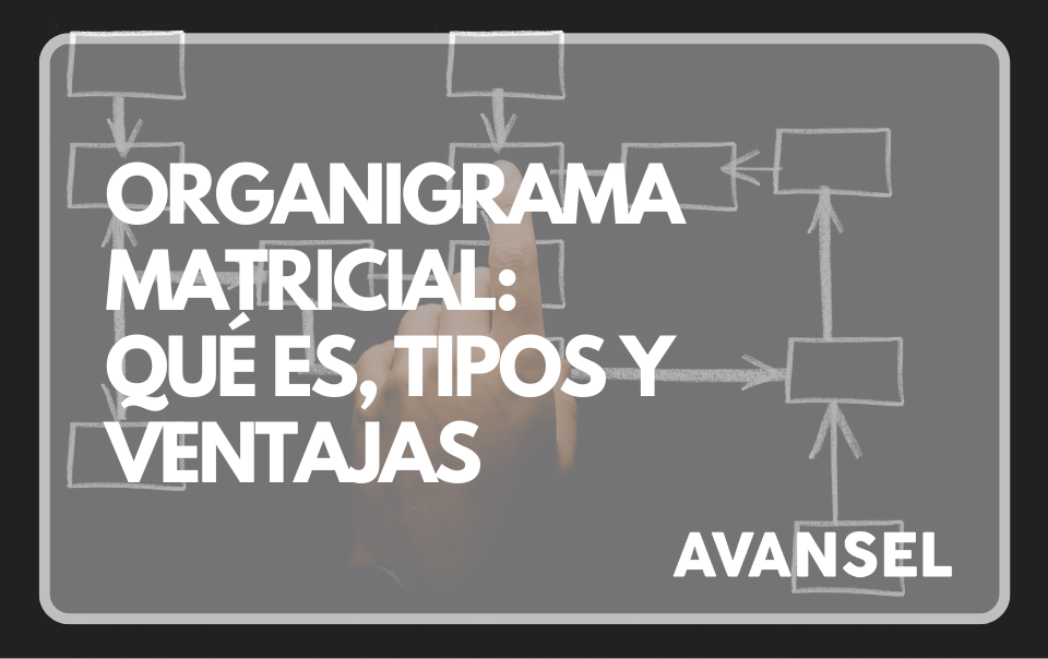 Organigrama Matricial: Qué es, Tipos y Ventajas